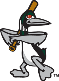 Great Lakes Loons 2007-2015 Alternate Logo iron on transfers for T-shirts